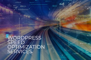 wordpress speed optimization services