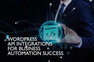 WordPress API integrations for business automation Milwaukee