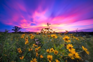 Sun Prairie web design near me