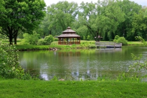 Middleton web design near me