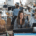 A professional business image related to AI website builder vs professional — AI Website Builder vs Professional: Match the Tool to the Stakes